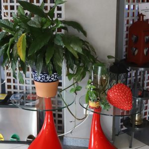 La grange de marie-Hotel-Restaurant-Bar