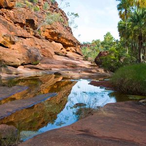 reflections-palm-valley