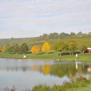 Chablis-La grange de marie-lac-de-beine-au-pied